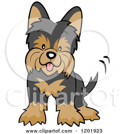 Royalty-Free (RF) Clipart of Yorkies, Illustrations ...