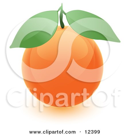 Clipart Illustration of a Round Orange Fruit With Two Green Leaves