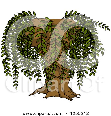 Royalty-Free (RF) Willow Tree Clipart, Illustrations ...