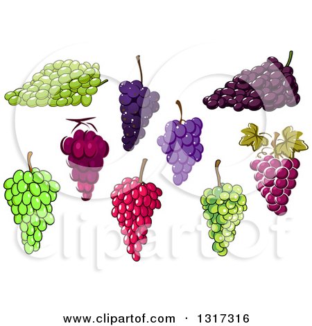 Clipart of Green and Purple Grapes - Royalty F