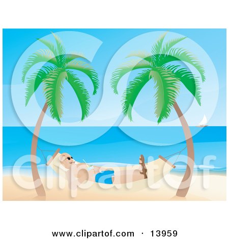 Cartoon Tropical Birds on 778 Tropical Clip Art   Fotosearch Stock Photography And Stock Footage