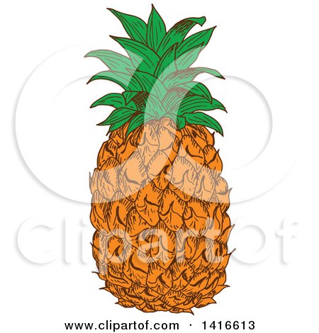 Clipart of a Sketched Pineapple - Royalty Free Vector ...