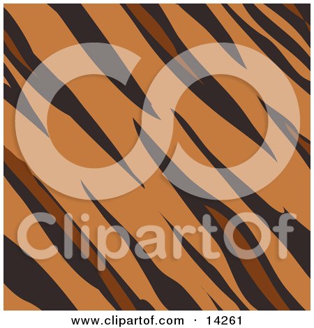 animal print background. Tiger Animal Print Background