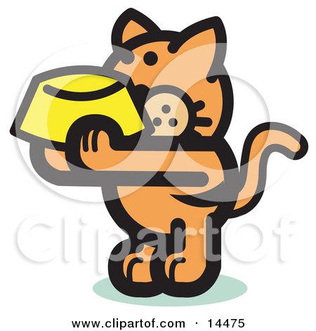 Cat In The Hat Party Food. Orange Cat Wearing A Party Hat