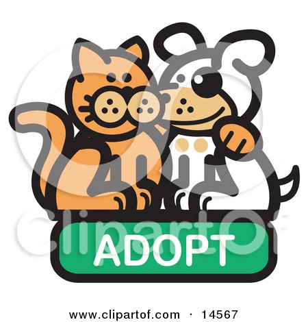 adopt dog