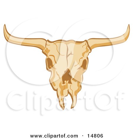 Royalty-free wild west retro clipart picture of an old cow skull.