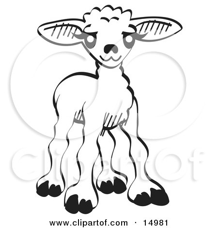 Coloring Pages Lamb. Similar Color Page Prints:
