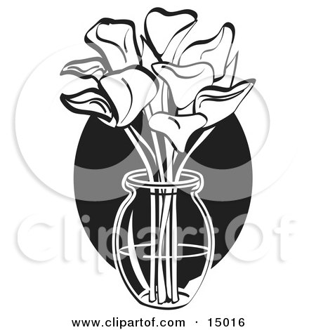  (RF) Clipart Illustration of a Black And White Potted Calla Lily Plant