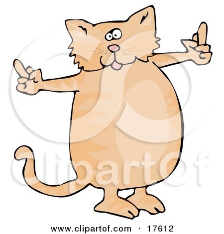 fat people posters. Spoiled Fat Ginger Cat Using