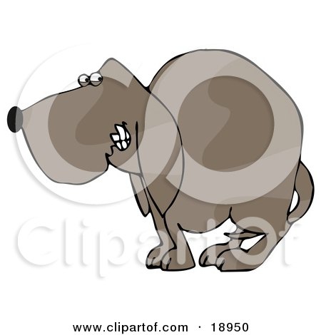 18950-Frightened-Brown-Dog-Quivering-With-His-Tail-Tucked-Between-His-Legs-Poster-Art-Print.jpg