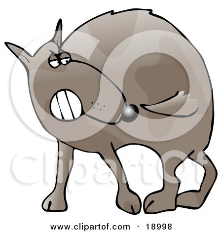 Royalty-free animal clipart picture of a crazy dog running around 