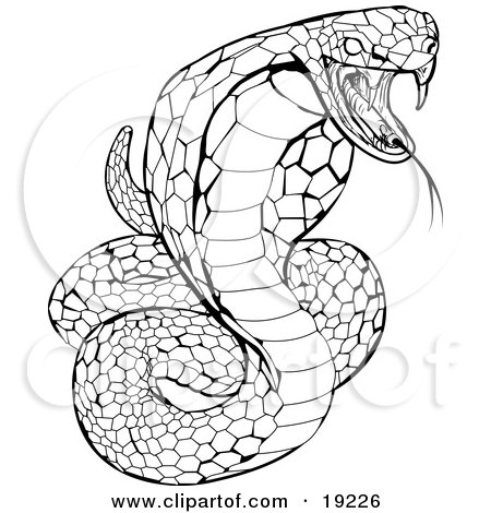 Picture Flower Tattoos on Clipart Illustration Of A Striking Venomous Cobra Snake By Geo Images