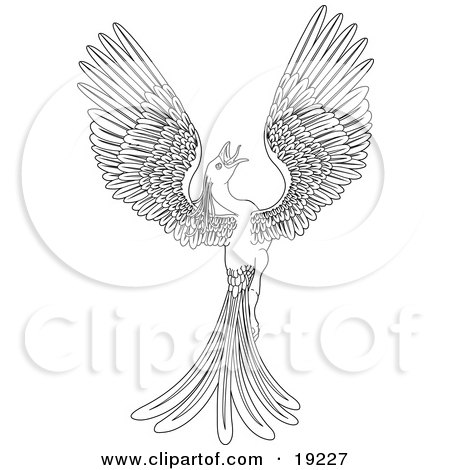  of a Black and White Coloring Page of a Magical Flying Phoenix Bird by