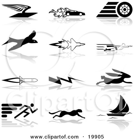Tropical Birds Flying on Black Silhouetted Speed Icons Of A Flying Envelope Race Car Tire Bird