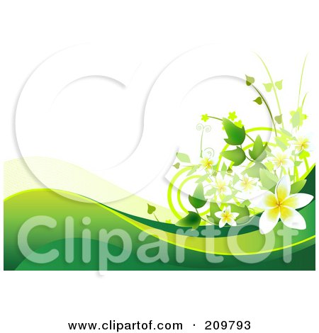 Flower Prints on Of A Plumeria Flower Background With Green Waves Over White By Pushkin