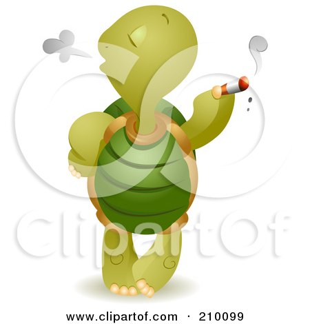 210099-Bad-Tortoise-Smoking-A-Cigarette.jpg