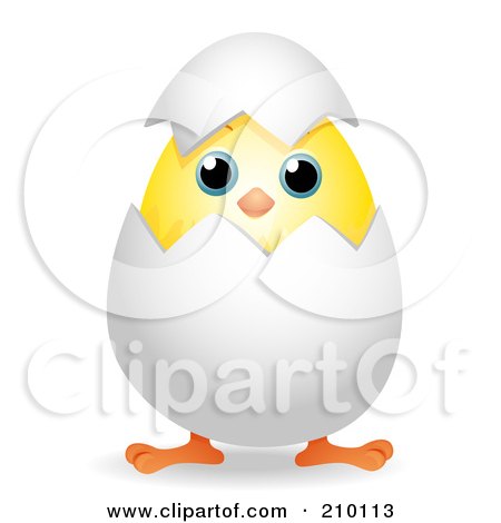 Cute Chick Peeping Out Of An Egg