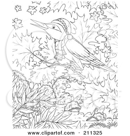 Winter Coloring Pages on Of A Coloring Page Outline Of A Winter Bird In A Tree By Alex Bannykh
