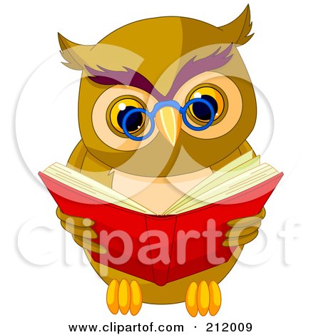 smart owl