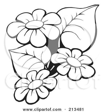 Flower Pins on Royalty Free  Rf  Clipart Illustration Of An Outline Of Black And
