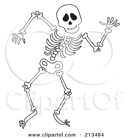 human skeleton drawing. printable skeleton drawing