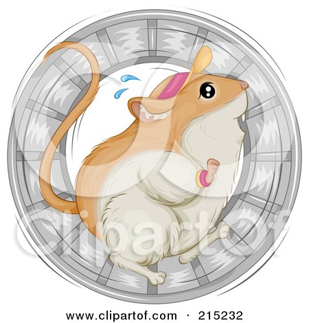 Royalty Free Images on Royalty Free  Rf  Clipart Illustration Of A Sweaty Gerbil Wearing A