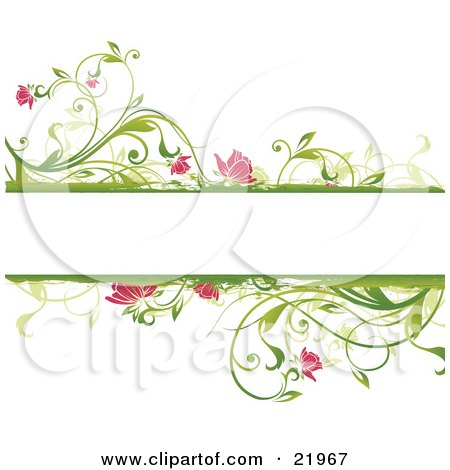 Flower Coloring Sheets on Floral Borders Of Green Plants And Pink Flowers By Onfocusmedia  21967