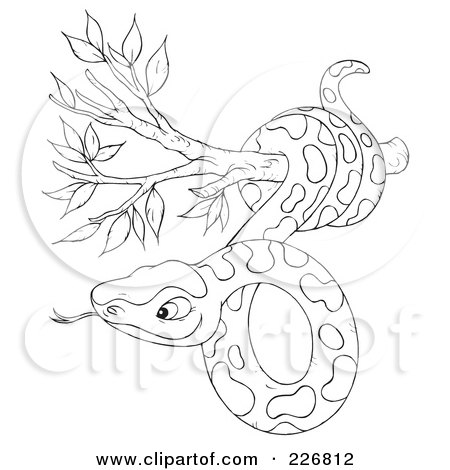 Snake Coloring Pages on Coloring Page Outline Of A Snake In A Tree By Alex Bannykh  226812