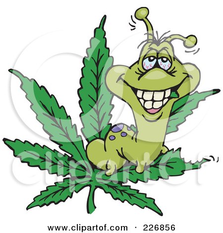 Logo Design Music on Caterpillar Eating A Marijuana Leaf By Dennis Holmes Designs  226856