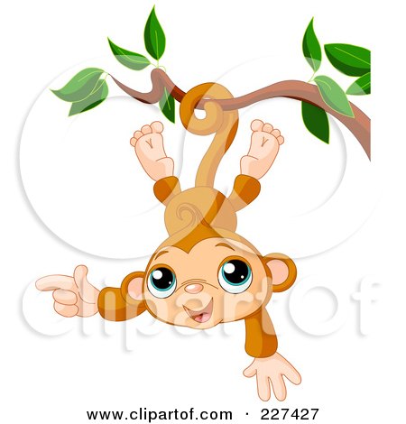 Cute Images Baby on Cute Baby Monkey Hanging Upside Down
