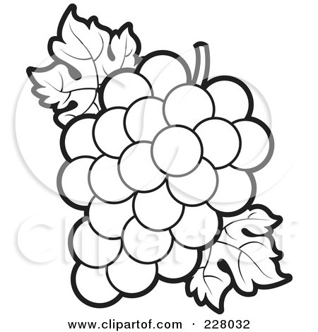 Coloring Pages Print on Coloring Page Outline Of A Bunch Of Grapes And Leaves Posters  Art