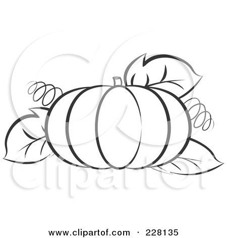 Pumpkin Coloring Pages on Free  Rf  Clipart Illustration Of A Coloring Page Outline Of A Pumpkin