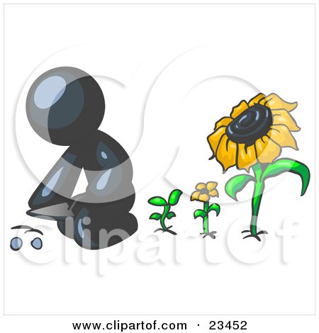 Garden Seeds on Clipart Sunflower  Clipart Illustration Of A Navy