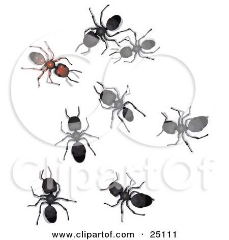 Clip Art Ant