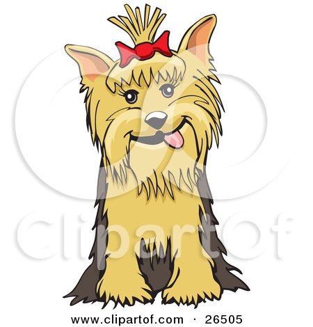 terrier illustration