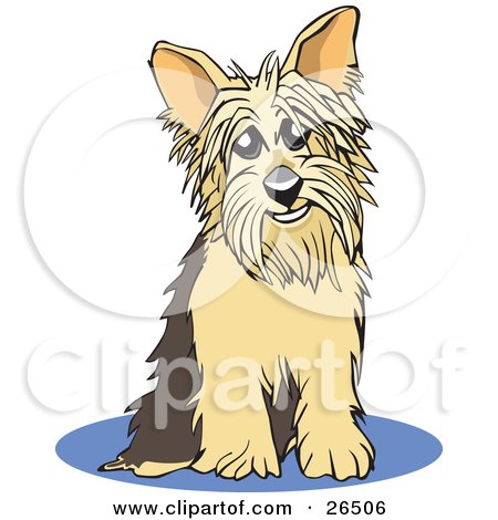 Blues Clues Coloring on Printable Yorkshire Terrier Coloring Pages   Ingeas