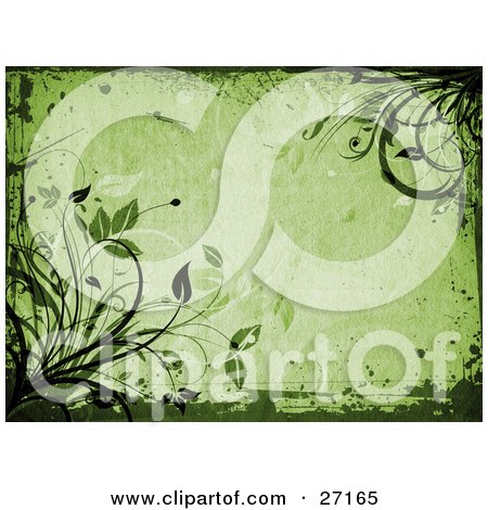 Backgrounds and borders - Clipart Illustration Of Organic Green Leaves And Vines With Grunge Borders On A Green Background