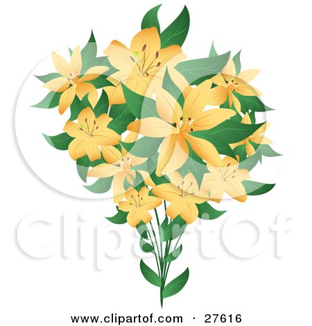 Bouquet Of Pretty Pale Orange Lily Flowers With Green Leaves On A White