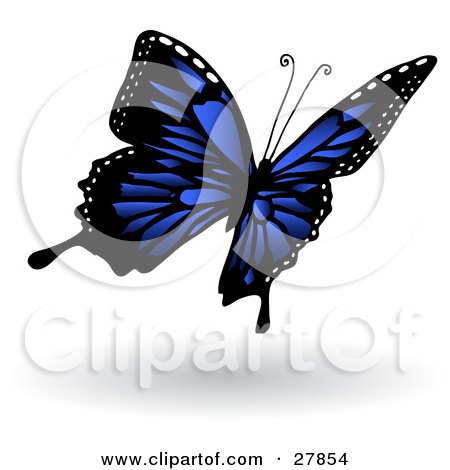 3d Blue Butterfly Pointing And Flying Left Posters, Art