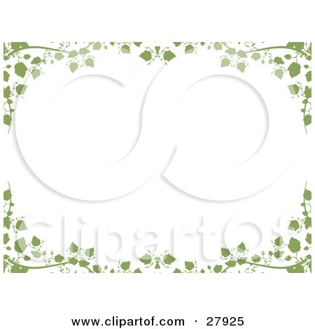 picture of a white background framed with green ivy vines and leaves.