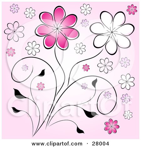 Daisy tattoo design with banner for name. Daisy tattoo flash design.