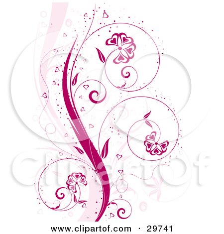 Royalty-free clipart picture of a pink curling floral vine with flowers, 