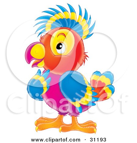 Colorful Parrots on Clipart Illustration Of A Colorful Purple  Red  Yellow And Blue Parrot