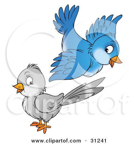 Royalty-free animal clipart picture of a cute blue bird flying above a gray 