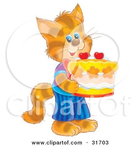  Birthday Cake on Cat In Clothes  Standing On Its Hind Legs And Holding A Birthday Cake
