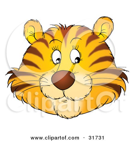 Cartoon Tigers Face