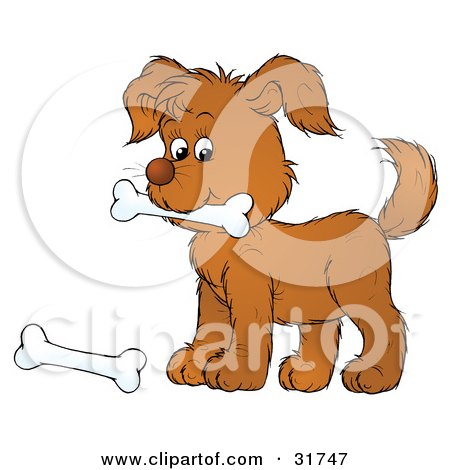 31747-Clipart-Illustration-Of-A-Playful-Brown-Puppy-Carrying-A-Dog-Bone-In-His-Mouth-Another-On-The-Ground.jpg