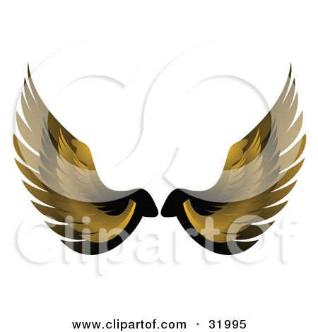 Pair Of Yellow Bird Or Angel Wings Symbolizing Faith Or Freedom On A White