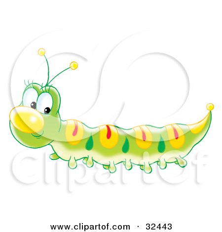yellow black and white caterpillar. Caterpillar With Yellow