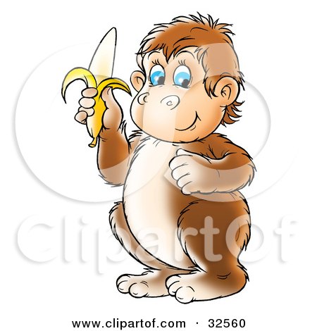 32560-Clipart-Illustration-Of-A-Brown-Chubby-Blue-Eyed-Monkey-Holding-A-Banana.jpg